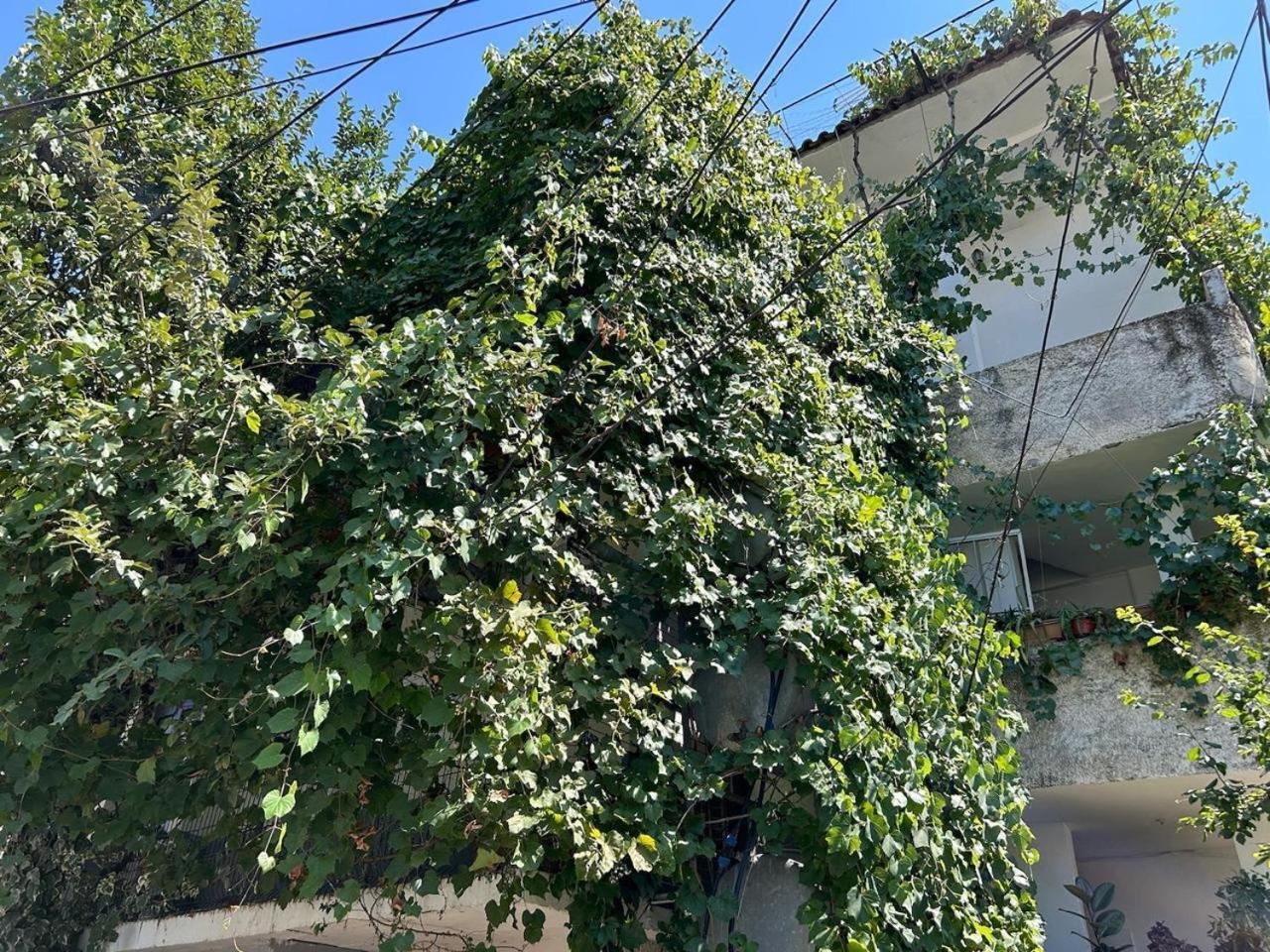 Appartement Central Stay Tirana *