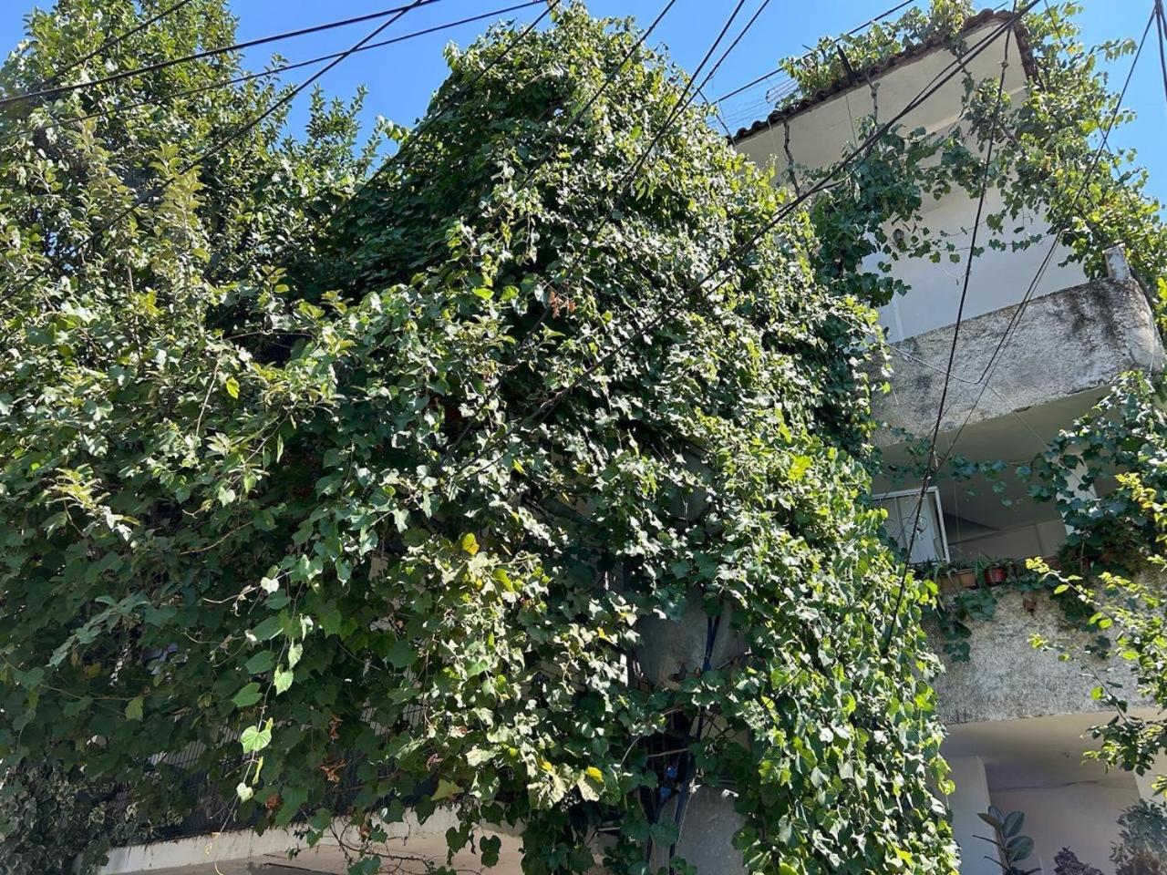 Central Stay Tirana Appartement